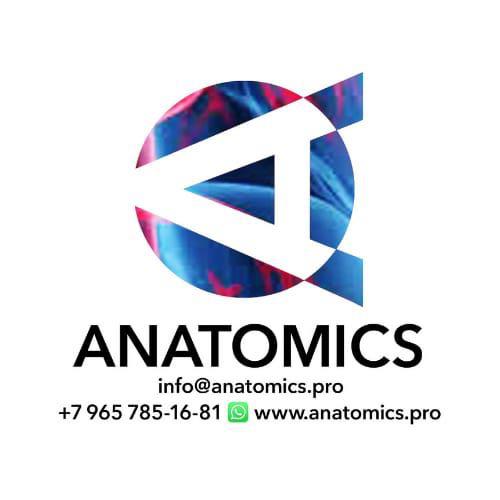 Проект ANATOMICS 